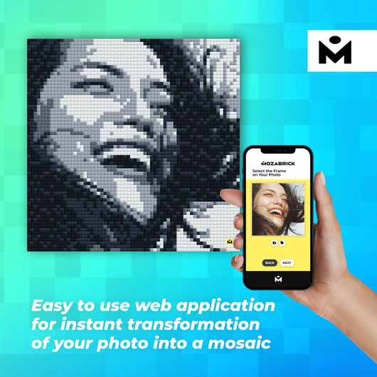 MOZABRICK Pixel Picture Model M
