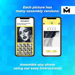 MOZABRICK Pixel Picture Model M