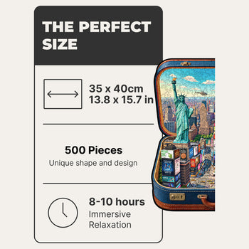 New York in a Case