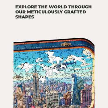 New York in a Case