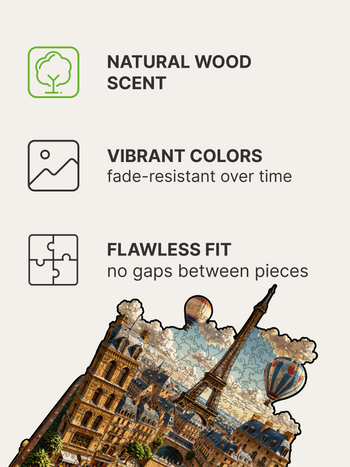 Paris in a Case